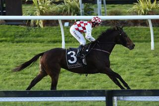 Illuminati (NZ) coasts to victory to claim Rotorua Stakes. Photo Credit: Trish Dunell. 